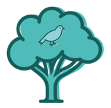 1 partridge in a pear tree