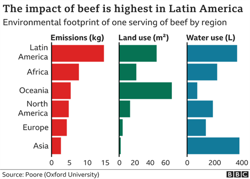 Impact of Beef