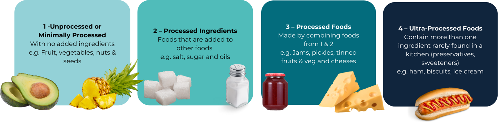 Ultra Processed Food Categories